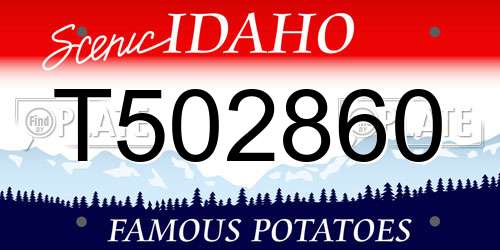 T502860 Idaho License Plate