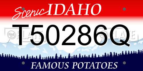 T50286Q Idaho License Plate