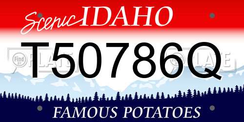 T50786Q Idaho License Plate