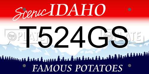 T524GS Idaho License Plate