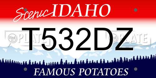 T532DZ Idaho License Plate