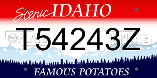T54243Z Idaho License Plate