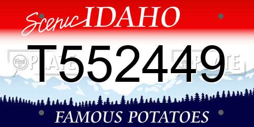 T552449 Idaho License Plate