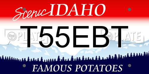 T55EBT Idaho License Plate