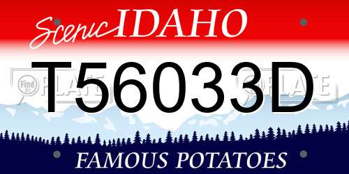 T56033D Idaho License Plate