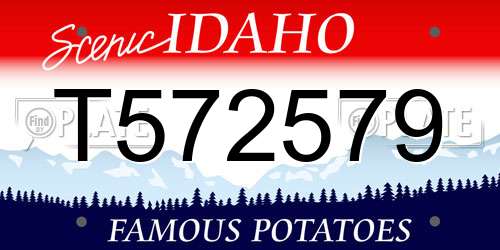 T572579 Idaho License Plate