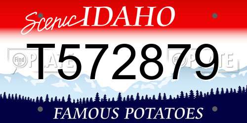 T572879 Idaho License Plate