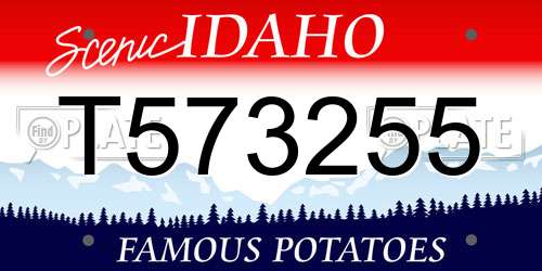 T573255 Idaho License Plate