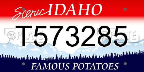 T573285 Idaho License Plate