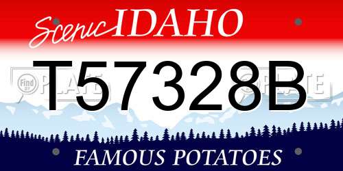 T57328B Idaho License Plate