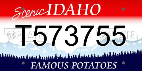 T573755 Idaho License Plate