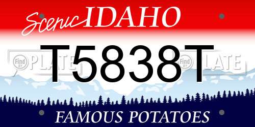 T5838T Idaho License Plate