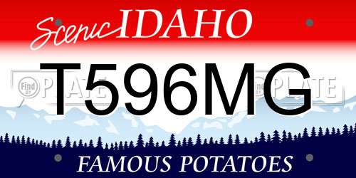 T596MG Idaho License Plate