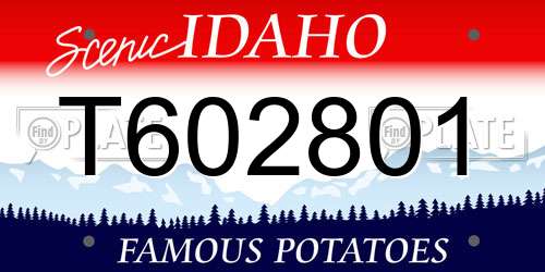 T602801 Idaho License Plate