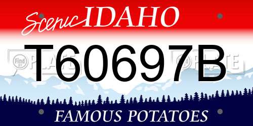 T60697B Idaho License Plate