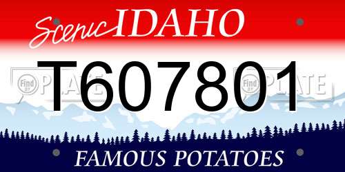 T607801 Idaho License Plate