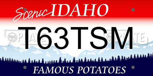 T63TSM Idaho License Plate