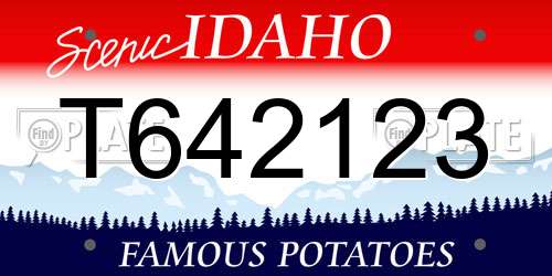 T642123 Idaho License Plate