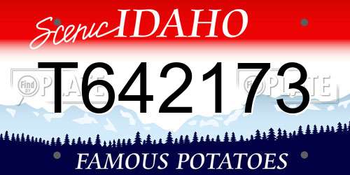 T642173 Idaho License Plate
