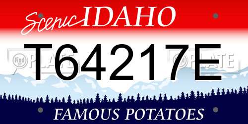 T64217E Idaho License Plate