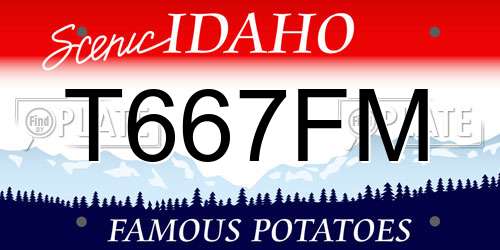 T667FM Idaho License Plate