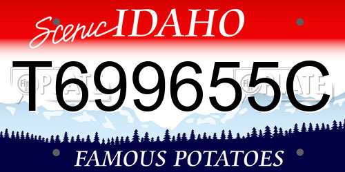 T699655C Idaho License Plate