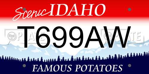 T699AW Idaho License Plate