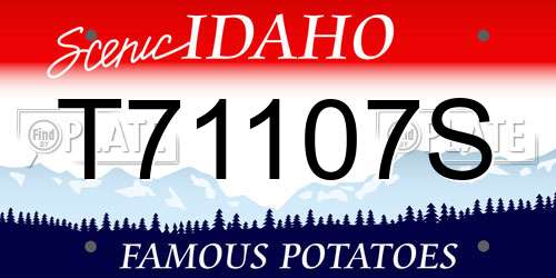 T71107S Idaho License Plate