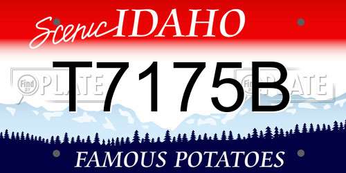 T7175B Idaho License Plate