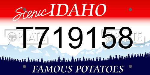 T719158 Idaho License Plate