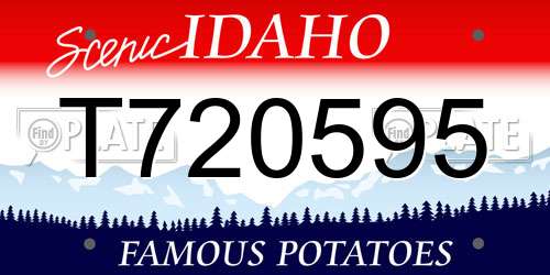 T720595 Idaho License Plate