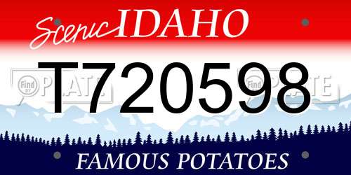 T720598 Idaho License Plate
