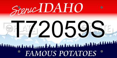 T72059S Idaho License Plate