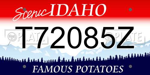 T72085Z Idaho License Plate