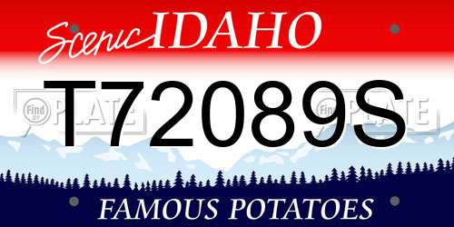 T72089S Idaho License Plate