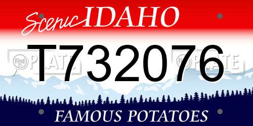 T732076 Idaho License Plate