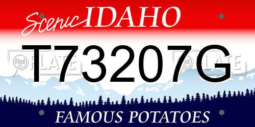 T73207G Idaho License Plate