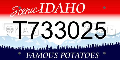 T733025 Idaho License Plate