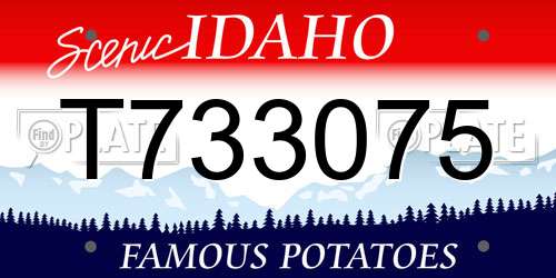 T733075 Idaho License Plate