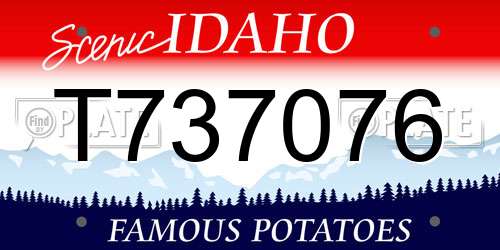 T737076 Idaho License Plate