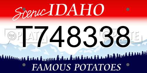 T748338 Idaho License Plate