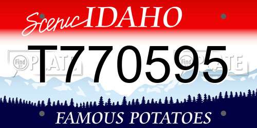 T770595 Idaho License Plate