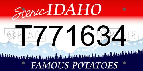 T771634 Idaho License Plate