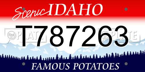 T787263 Idaho License Plate