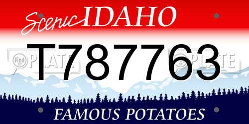 T787763 Idaho License Plate