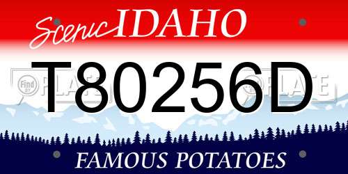 T80256D Idaho License Plate