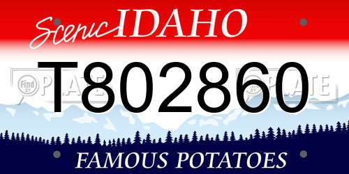 T802860 Idaho License Plate