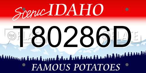 T80286D Idaho License Plate