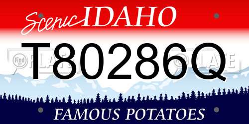 T80286Q Idaho License Plate