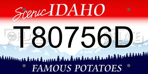 T80756D Idaho License Plate